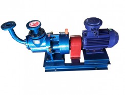 廣東YHQ液化氣雙螺桿泵